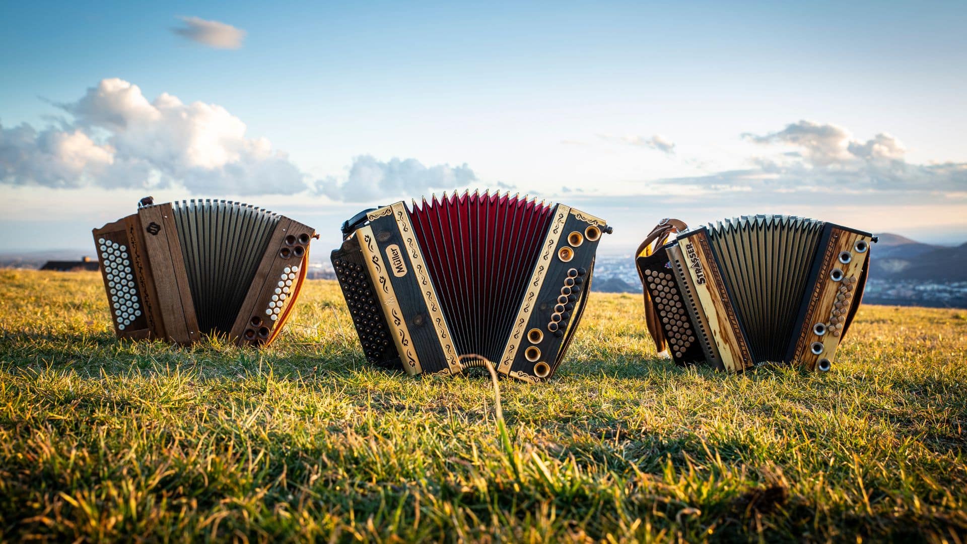 Drei Modelle der Harmonika-Marken Schmidt, Strasser und Müller auf einem Feld